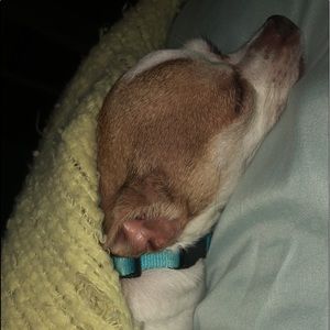 Meet your Posher, Kendyl